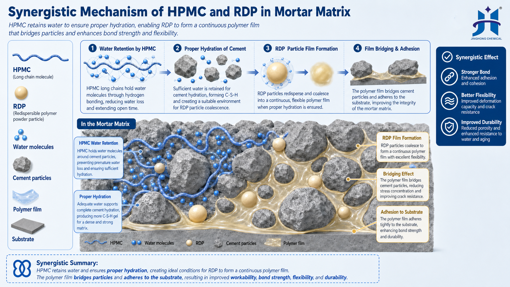 HPMC and RDP Synergy Mechanism Synergistic Mechanism of HPMC and RDP in Mortar